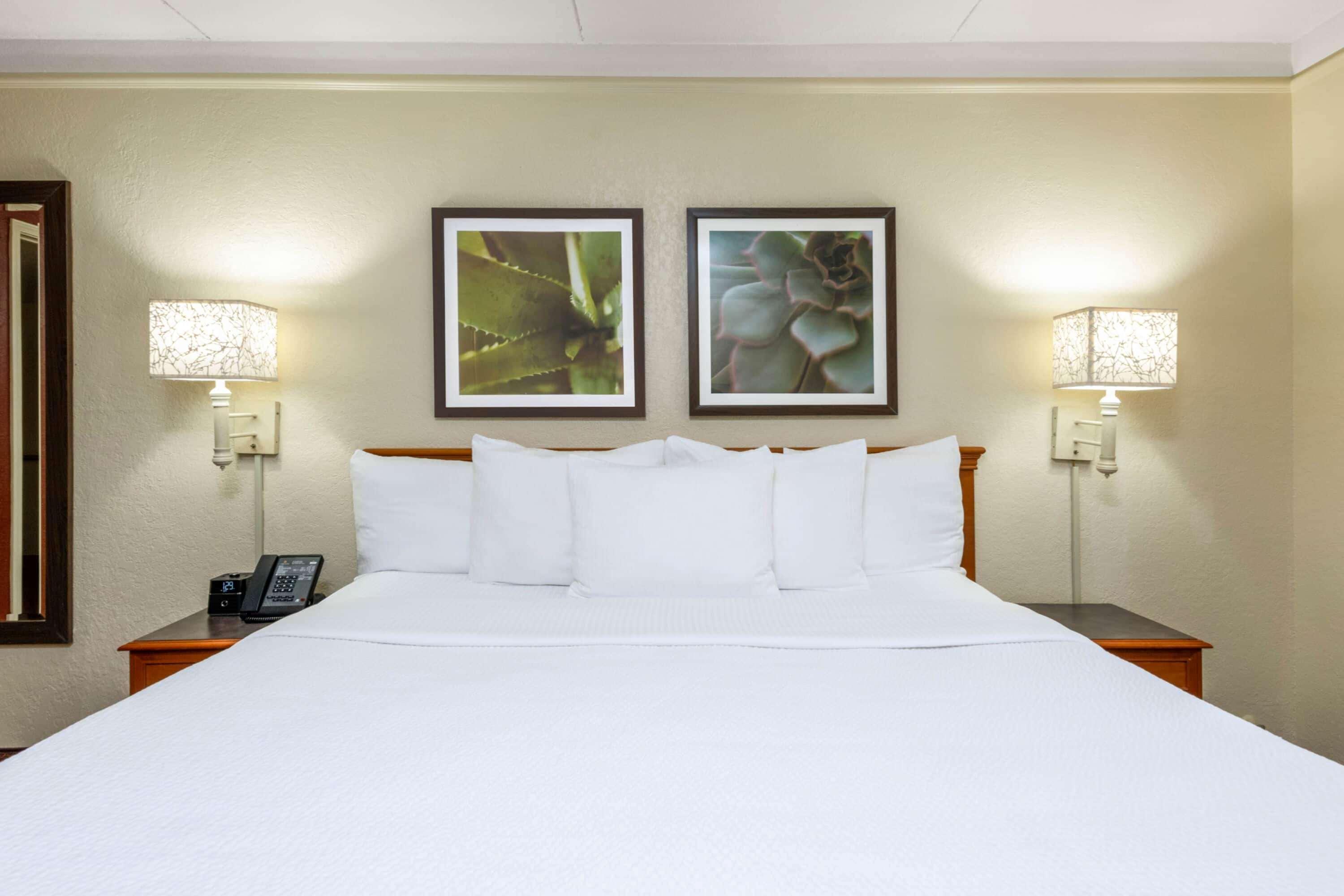 La Quinta East Deerfield Beach - Boca Raton Dış mekan fotoğraf